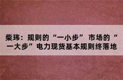 柴玮：规则的“一小步” 市场的“一大步”电力现货基本规则终落地